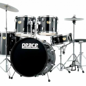 DP-2216C