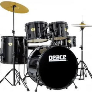 PEACE DP-109CHB