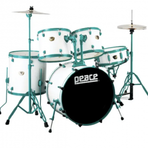 DP-22DGD-GW